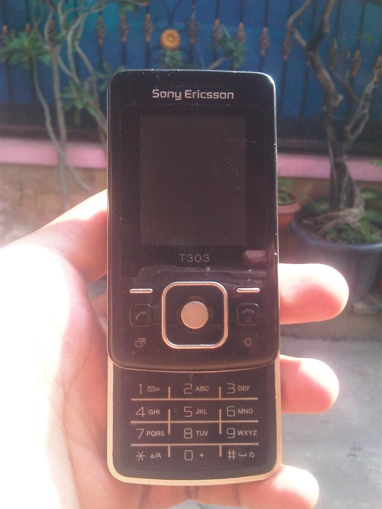 SONY ERICSSON T303