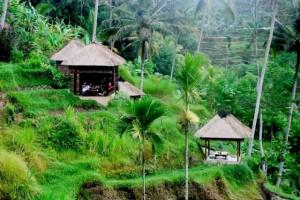 Tempat favorit merayakan Malam Tahun Baru di Beberapa Kota di Indonesia