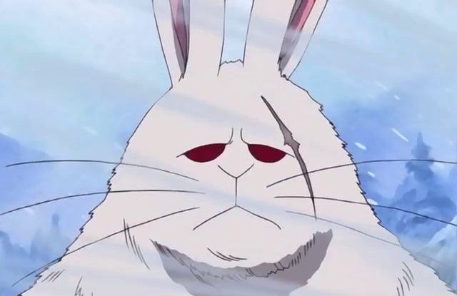 Beberapa hewan lucu &amp; menyeramkan di dunia One Piece 