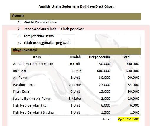 Virus Wirausaha Black ghost NULAR gan,,Pengalaman Pribadi