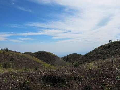 Bukan Cuma di Bromo, Bukit Teletubbies Juga Ada di Dieng