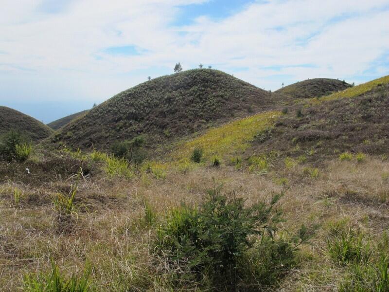 Bukan Cuma di Bromo, Bukit Teletubbies Juga Ada di Dieng