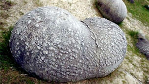 Fenomena Unik, Batu Bernyawa Di Rumania