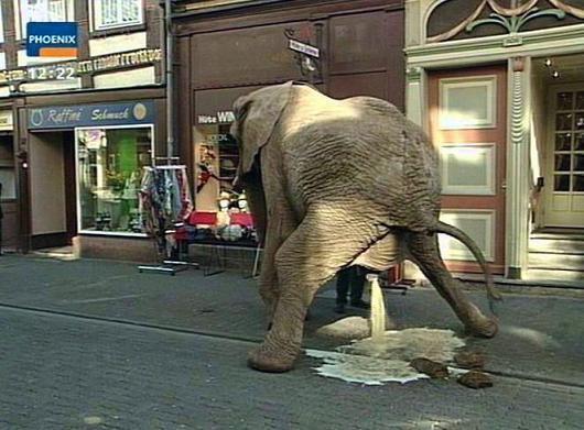 Gajah yg Merasa Dirinya Jerapah