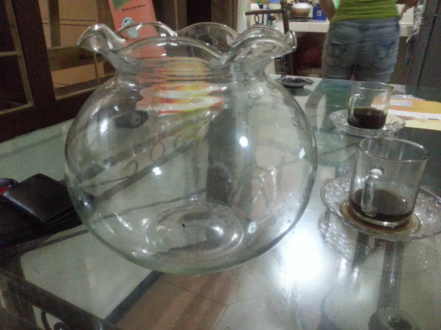 aquarium super murah
