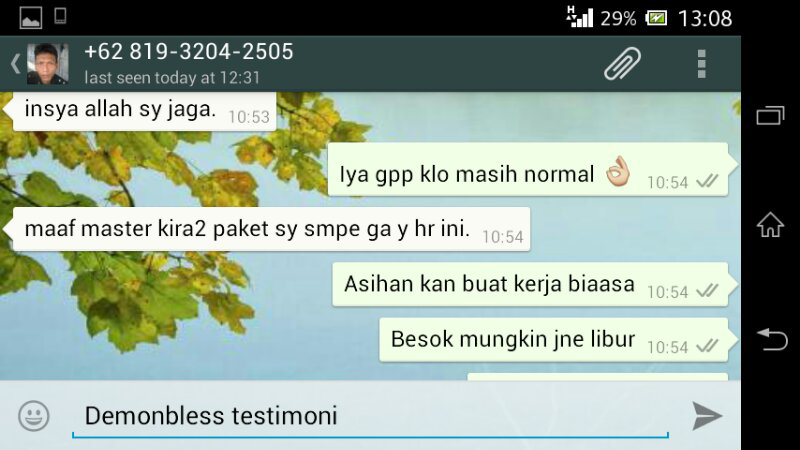 Testimonial Lelang Demonbless.... 