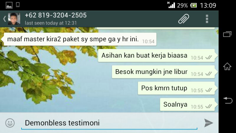 Testimonial Lelang Demonbless.... 