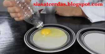 Tips Memisahkan Kuning Telur Dengan Cara Unik