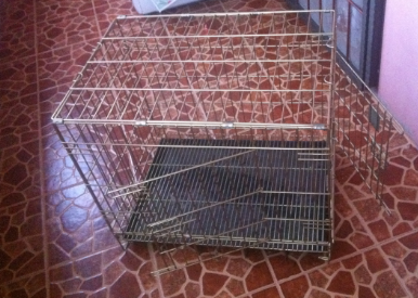 kandang anjing lipat