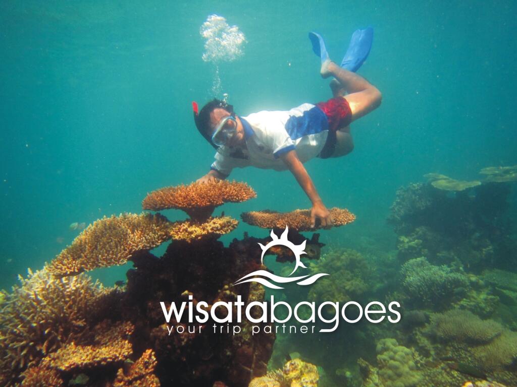 Paket Wisata Karimunjawa