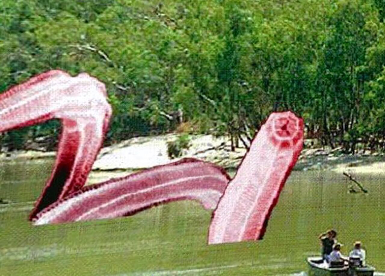 Monster Legendaris yang Berasal Dari Australasia