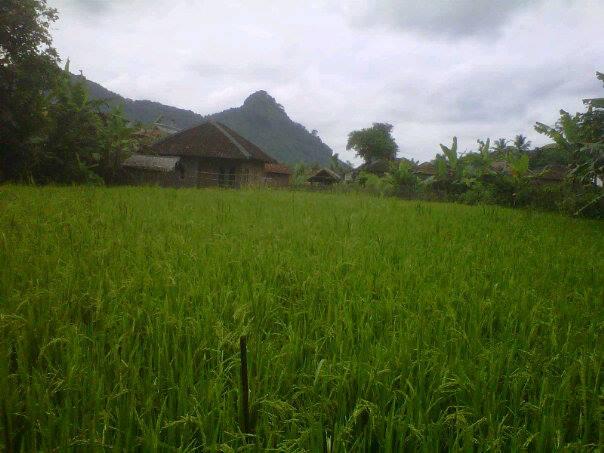 Kp.Cigowong Kec.Cigudeg