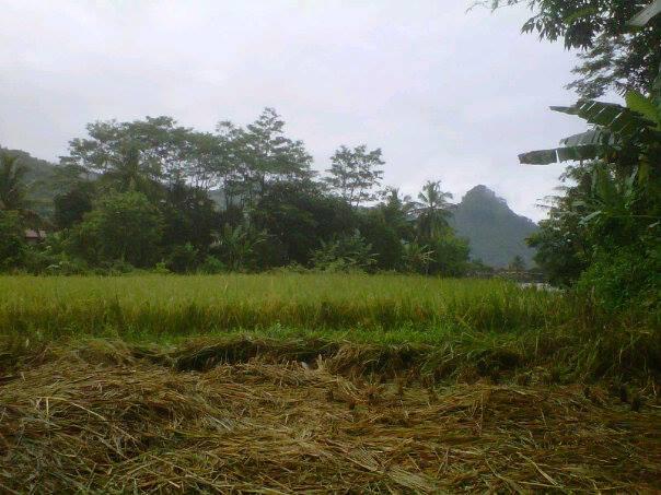 Kp.Cigowong Kec.Cigudeg