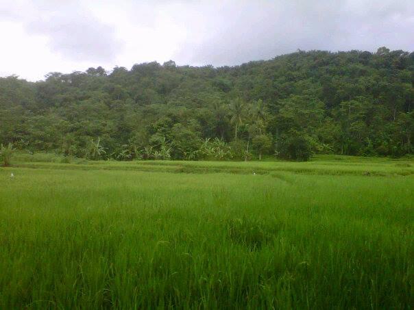 Kp.Cigowong Kec.Cigudeg
