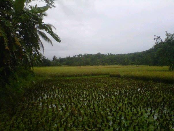 Kp.Cigowong Kec.Cigudeg