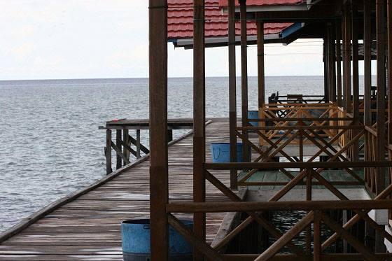 Snorkeling & Diving di Kepulauan Derawan