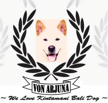 NEWBORN LITTER "D" PUPPIES FROM VON ARJUNA KENNEL-BALI