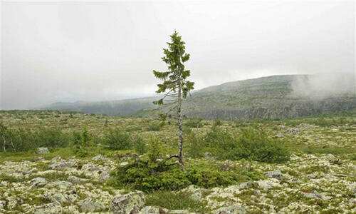 ..: Keabadian Dunia :..