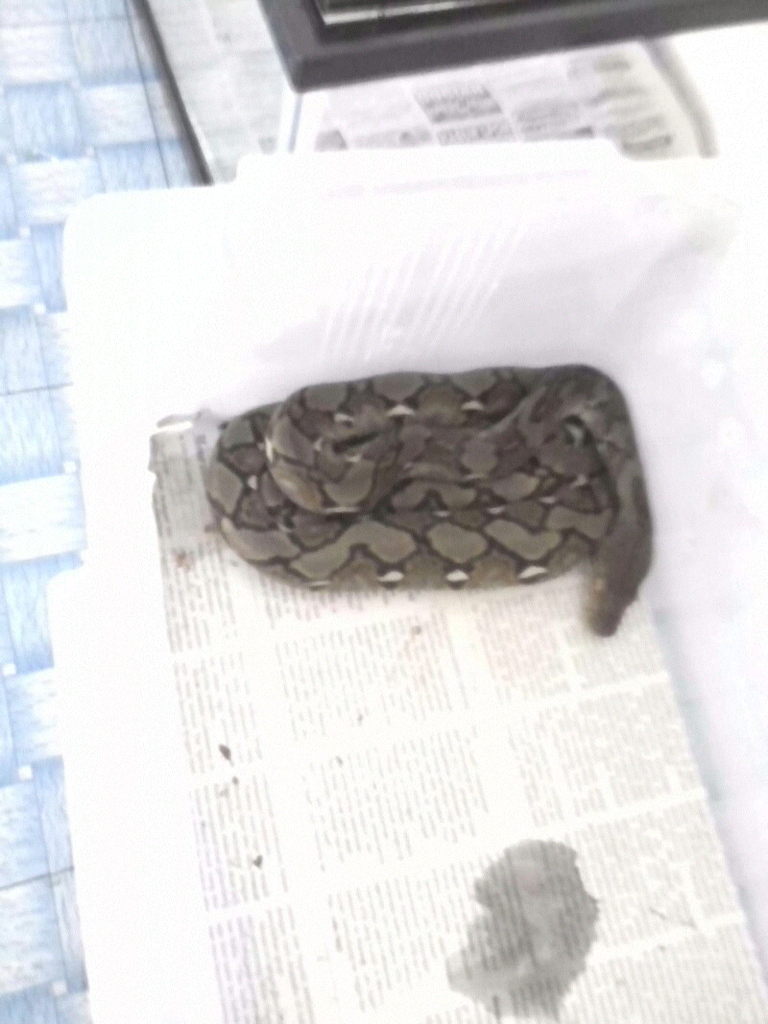 Stok ind0petz 3Jan14