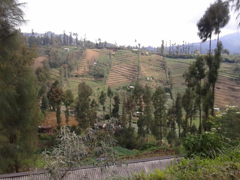 &#91;FR&#93; Fun Hikking Semeru - Bromo Akhir 2013