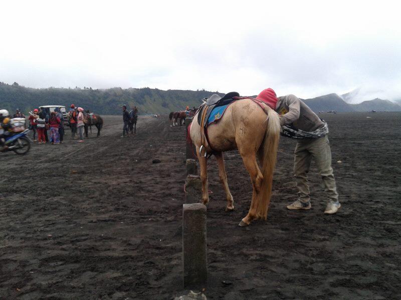 &#91;FR&#93; Fun Hikking Semeru - Bromo Akhir 2013