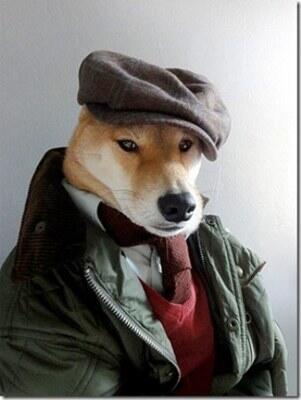 &#91;Woow&#93; Model Anjing ini Menjadi Icon Fashion Pria Gan &#91;+Pic&#93;