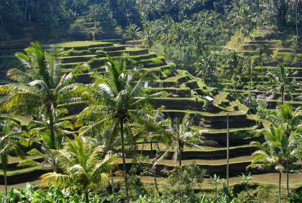 Kota Terbaik Indonesia Yang Dikenal Di Dunia