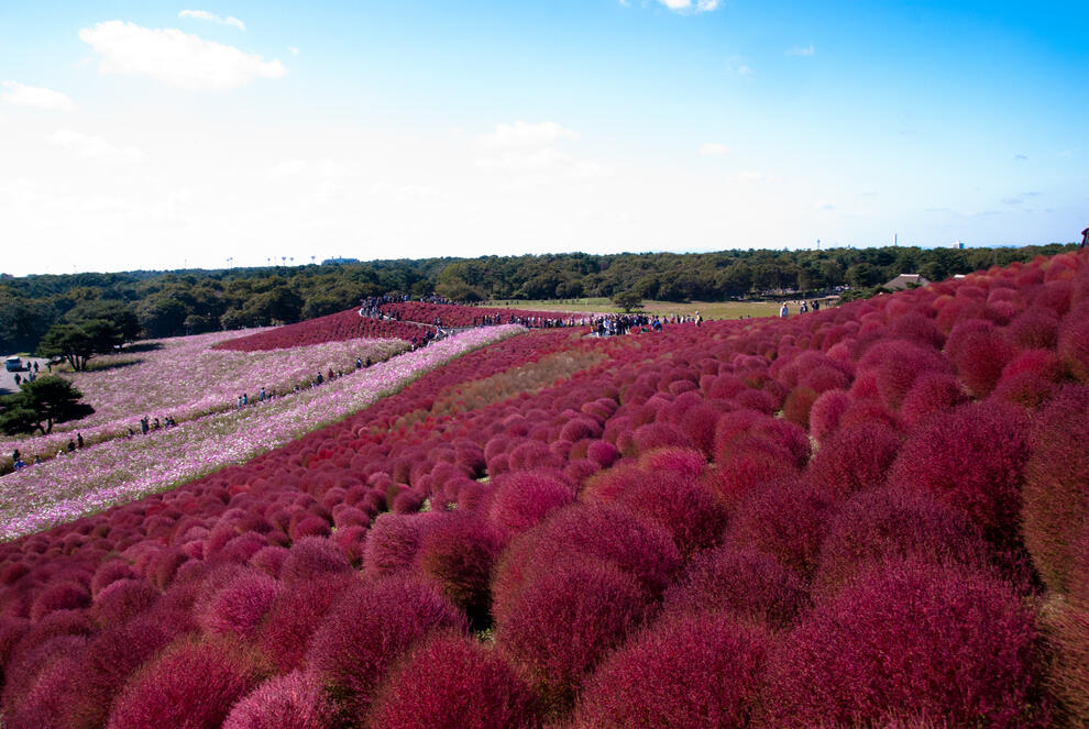 Tempat Surreal Yang Harus Agan Kunjungi Sebelum Mati!