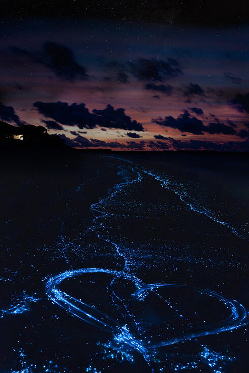 Tempat Surreal Yang Harus Agan Kunjungi Sebelum Mati!