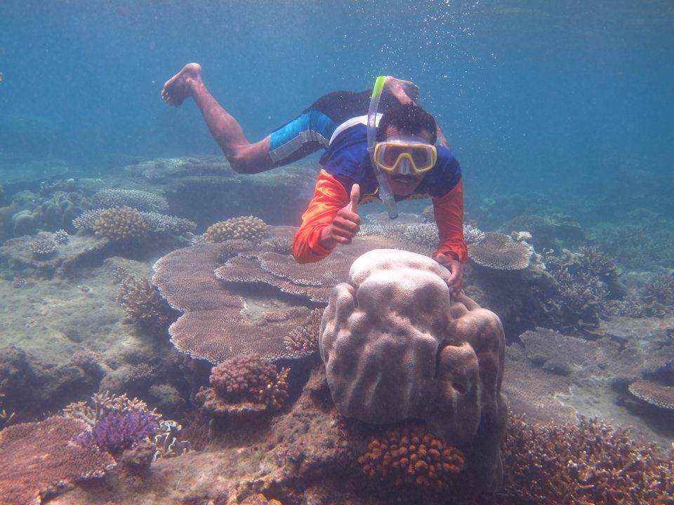 maju karimunjawa tour paket wisata 600rb saja 081228999259 087831094440 BB: 277E21A2