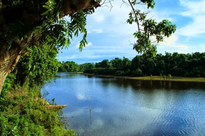 Pesona Danau Bika ( Danau Buak ) di Kapuas Hulu