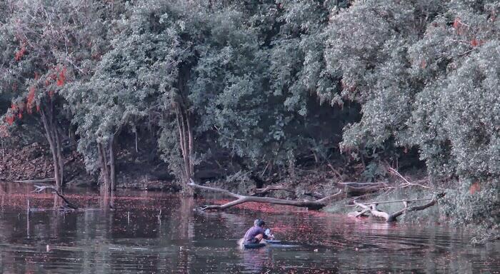 Pesona Danau Bika ( Danau Buak ) di Kapuas Hulu