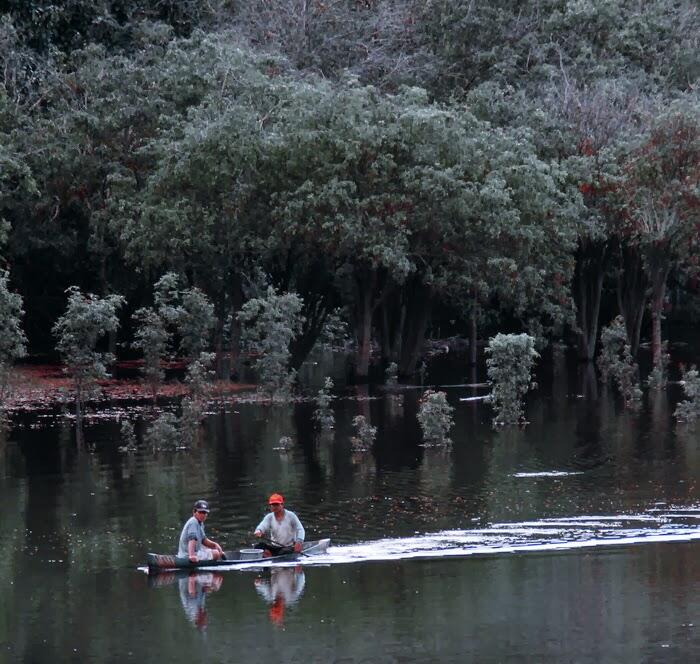 Pesona Danau Bika ( Danau Buak ) di Kapuas Hulu