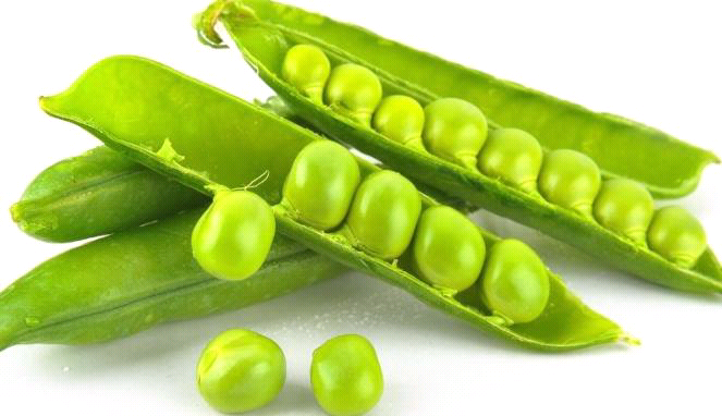 Gara gara kacang polong