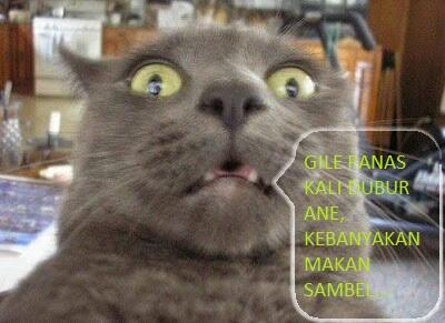 Ekspresi Setelah Boker