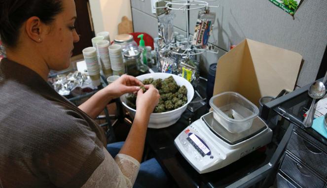 BotanaCare, Toko Ganja Resmi di Colorado