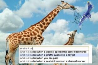 &#91;Pic Inside&#93; Kumpulan Gambar Google Search Suggestion Paling Lucu