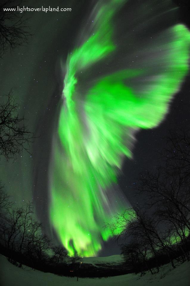 &#91;Share&#93; Fenomena Terbentuknya sinar Aurora &#91;Full pict&#93;