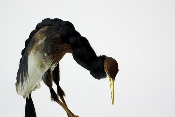 Burung Yang Diawetkan Dihiasai Dengan Rambut Manusia Read more at http://www.uniqpos