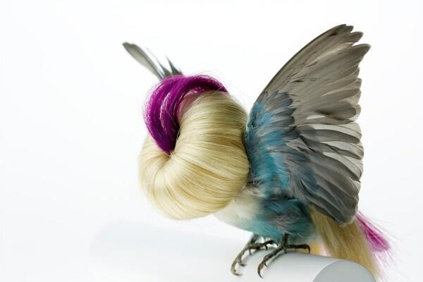 Burung Yang Diawetkan Dihiasai Dengan Rambut Manusia Read more at http://www.uniqpos