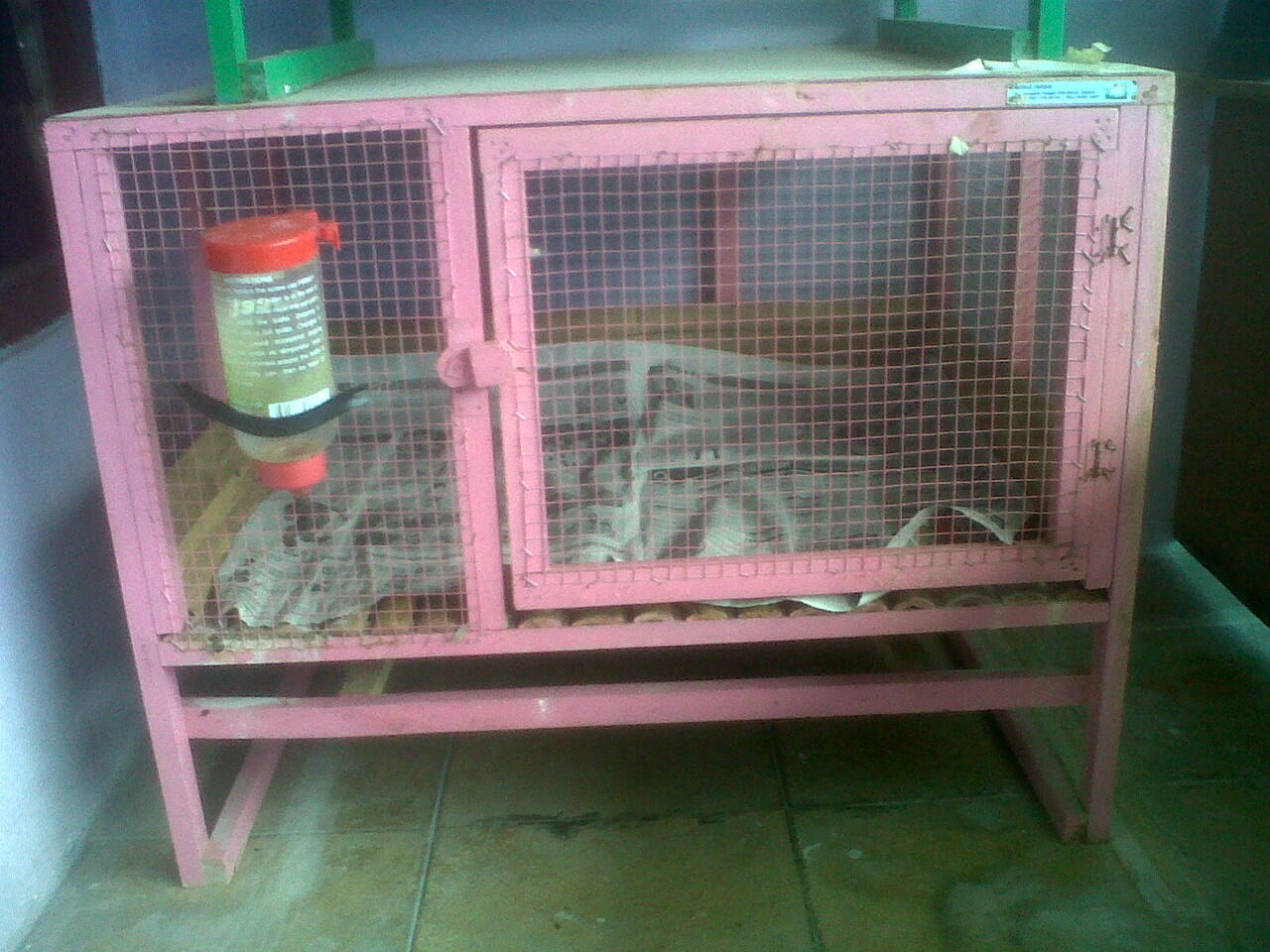 jual kandang kelinci murah