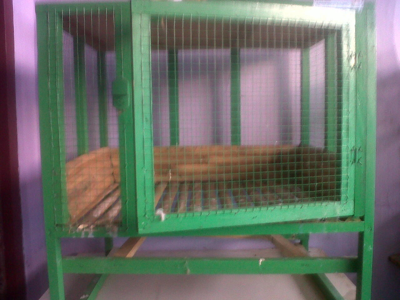 jual kandang kelinci murah