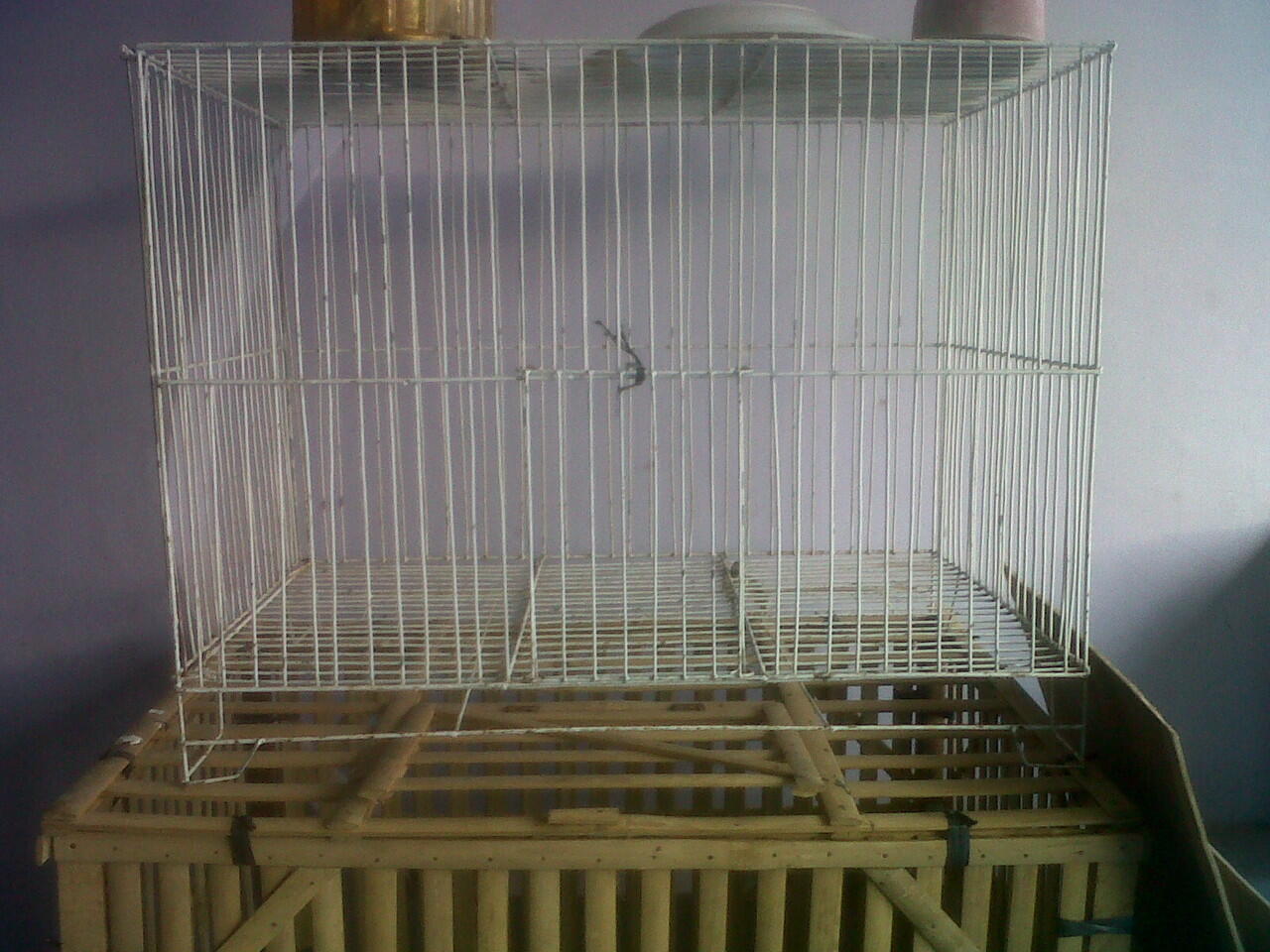 jual kandang kelinci murah