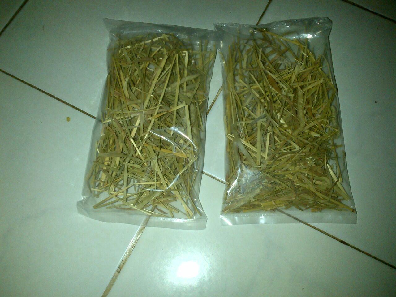 Obat,Vitamin dan aksesoris kelinci