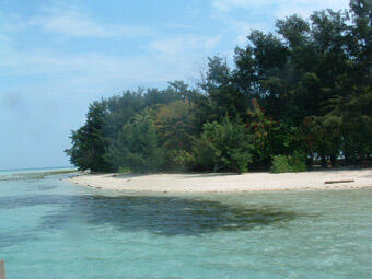 Paket Paling Hemat Trip Ke Pulau Pramuka 2H1M Rp.240.000