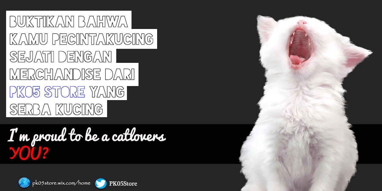 Menjual Merchandise Serba Kucing!