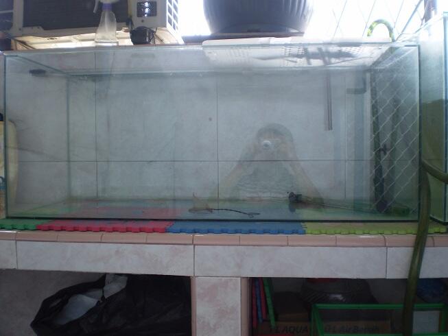 Jual Akuarium dan Canister Jebo 5 susun (829) second