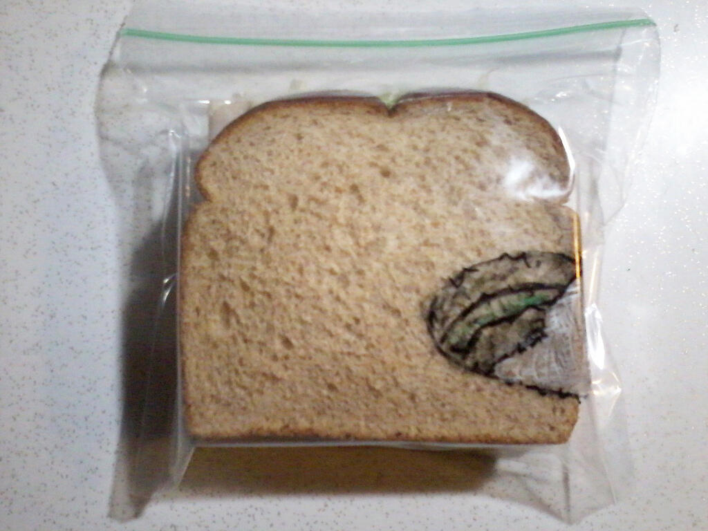 Ayah Yang Kreatif (Bekal makanan yang dibuat menarik untuk seorang anak)