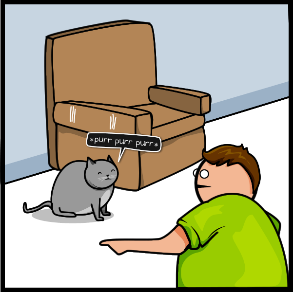 Cat vs Internet