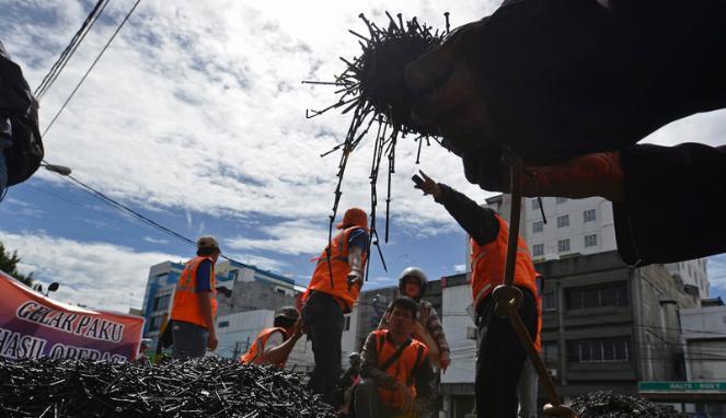 Semut Orange Kumpulkan 6,5 Kuintal Ranjau Paku